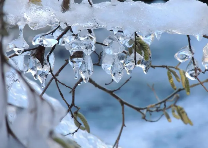 Appartement Mezzanine 2/4 Pers Avec Casier à - Fr-1-234-342