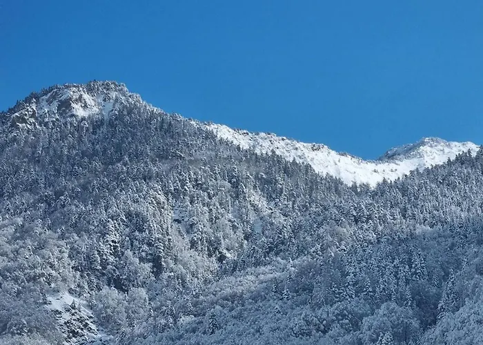 Mezzanine 2/4 Pers Avec Casier à - Fr-1-234-342 * Cauterets