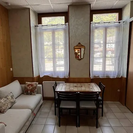 Mezzanine Cosy Pour 4 Pers Avec Casier A Skis, Proche Centre-ville Apartment