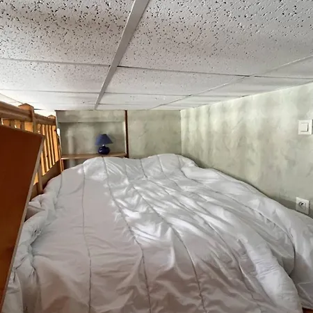 Mezzanine Cosy Pour 4 Pers Avec Casier A Skis, Proche Centre-ville Apartment *